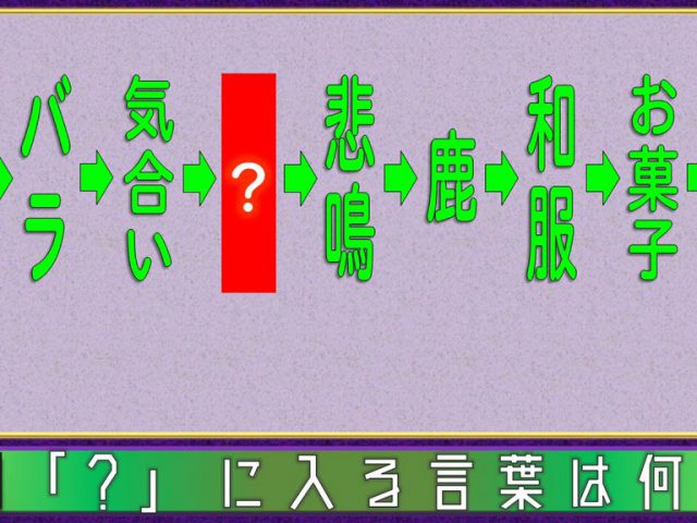 幅広いクイズ・壯庭回さん(2):「クイズに慣れている人もそうでない人も、スタートラインがなるべく同じになるように、また、参加者の声にはできる限り柔軟に対応するよう心がけています。」 幅広いクイズ・壯庭回さん(2):「クイズに慣れている人もそうでない人も、スタートラインがなるべく同じになるように、また、参加者の声にはできる限り柔軟に対応するよう心がけています。」